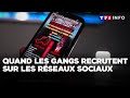 Vols, crimes : quand les gangs recrutent sur les réseaux sociaux｜TF1 INFO