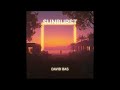 DAVID BAS- SUNBURST