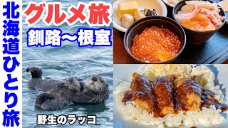 【北海道ひとり旅】釧路/根室 グルメ旅 。朝食バイキング・海鮮丼・イクラ丼・エスカロップ・回転寿司を食べ、野生の親子ラッコ・白鳥に会えた旅【道東グルメ旅】