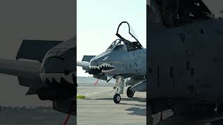 A-10C Thunderbolt II with Stunning Shark Mouth Nose