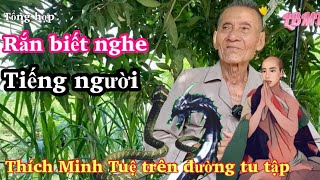 Rắn Biết Nghe Tiếng Người Của Ông Đạo Đanh Nói Chuyện An Giang Và Thích Minh Tuệ Tu Hạnh Thế Nào.