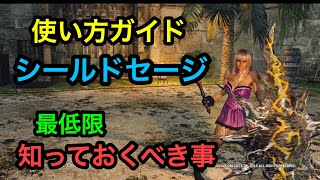 【DDON 】短くサクッと解説！シールドセージの使い方。