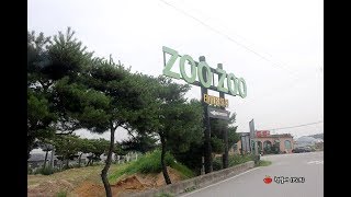 [국내여행지] 쥬쥬 테마동물원 (Zoo Zoo Theme Park)