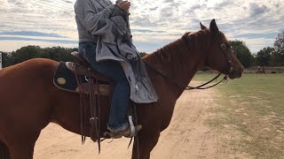 Sunday Sale TAG 759 QH 18 YR SORREL MARE PRICE $800