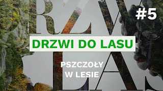 Drzwi do lasu, odc. 5 - Pszczoły w lesie