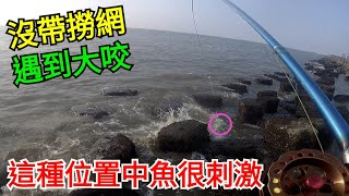 這種位置中魚很刺激 沒帶撈網 遇到大咬