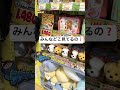 みんなどこ見てるの❓　わんちゃん　犬　猫ちゃん　ネコ　ぬいぐるみ　ぬい活　推しぬい　キャラクター　キャラ　おもちゃ　ドンキホーテ