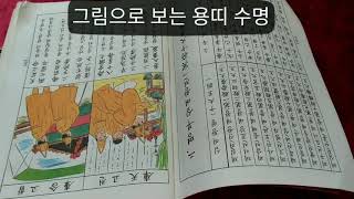 용띠 사주 수명 : 그림 당사주로 알아보는 용띠 수명 (수명궁) 마스터 운세티비