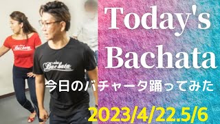 Today's Bachata 今日のバチャータ踊ってみた /ファニラテレッスンmemo[2023/4/22.5/6]