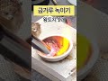 인생은 장비빨