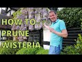 How to prune wisteria for maximum blossom