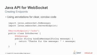 Java API for WebSocket 1 0