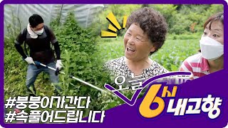 [2022년 8월 22일 월요일 미리보기] | KBS 방송