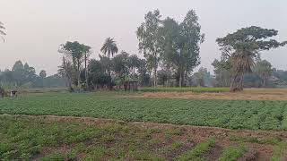 গ্রাম্য পরিবেশ/Rural environment