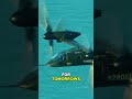 the fastest way to fly with the bell v 280 valor tiltrotor army aircraft