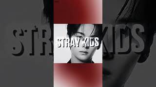 #straykids #stray #skz  Ютуб обрезал.. (