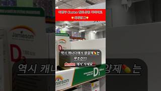 캐나다 #costco 세일템 가격비교!!! #코스트코 #캐나다일상 #캐나다물가#장바구니#캐나다이민 #캐나다