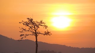 東日本大震災から11年　陸前高田の一日を追った