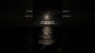 Alaikadal🌙🧿#asetheticstatus #fullscreen #whatsappstatustamil#arrahman #ponniyinselvan#song#tamilsong