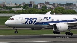 [ITM/RJOO] ANA Boeing 787-8 Dreamliner [JA807A] landing [伊丹空港・全日空]