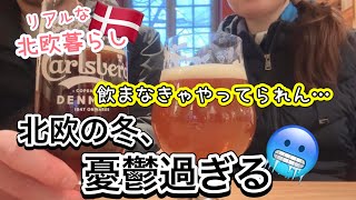 ビール飲んで無理やりハイにする北欧の冬😇／美し過ぎるカールスバーグ観光／コペンハーゲン駐在【北欧暮らしVlog】