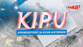 Kipu - osa elämäämme: Kipureseptorit ja kivun aistiminen