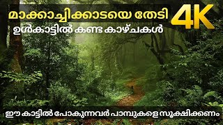 മാക്കാച്ചിക്കാടയെ തിരഞ്ഞു ഉൾകാട്ടിലേക്ക് !!! 4K