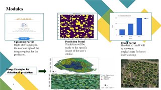 SIH2023 Title-Application of Image Analytics for Tree enumeration for diversion of Forest Land.