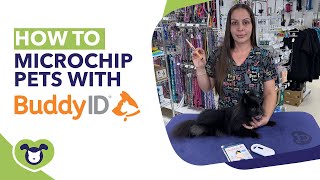 How to Microchip a Dog – A Must-Have Service for Groomers!