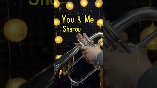 【フリーBGM】しゃろう 『You \u0026 Me』をフリューゲルホルンで吹いてみた🎺