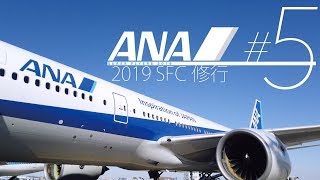 ANA SFC修行 #005 |「6時15分 羽田発！早朝石垣島往復してみた」 [羽田-石垣-羽田]