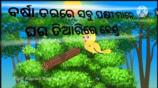 ବର୍ଷା ଡରରେ ସବୁ ପକ୍ଷୀ ମାନେ ଘର ତିଆରିରେ ବେଶ୍ତ