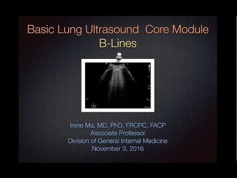 Basic Lung - B Lines Nov 2016 - YouTube