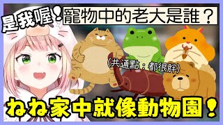 家中寵物成員介紹！Nene(阿嬤)養的寵物都是胖嘟嘟的呢w【桃鈴ねね / hololive】【Vtuber遜炮中翻】
