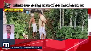 വീട്ടമ്മയെ കടിച്ച നായയ്ക്ക് പേവിഷബാധ; നായ വളർത്തുമൃഗങ്ങളെയും കടിച്ചു | Pathanamthitta |