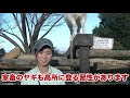 なぜそんなところに ザーネン（ヤギ）の豆知識【飼育員解説】群馬サファリパーク