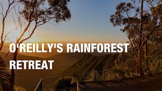 O'Reilly's Rainforest Retreat 🌳