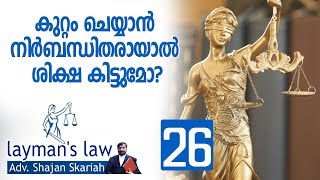 നിസാര കൈയബദ്ധങ്ങള്‍ക്ക് ശിക്ഷയെങ്ങനെ? || Laymans law