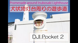 犬吠埼灯台遊歩道をDJI Pocket 2 で撮影してみました