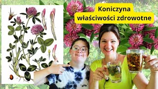 KONICZYNA CZERWONA! Ten kwiat uratuje młodość, urodę, mocne kości i piękną skórę!