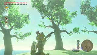 The Legend of Zelda: Breath of the Wild 100% [130]