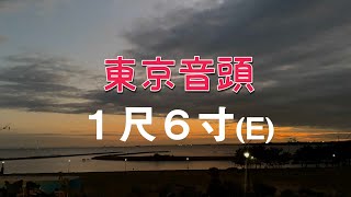 #5【カラオケ】東京音頭6寸