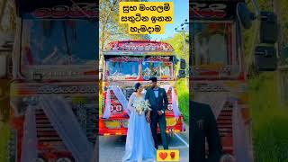 සාර්ථක යුග දිවියකට සුභාශිංසන....❤️වෙජිටබල් රැජිණ Unlimited