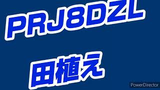 新型田植機『さなえ』PRJ8にて田植え