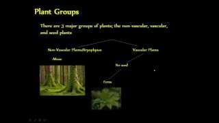 Biology - Plant Groups \u0026 Development: The Basics