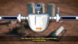 Charakterisierung und Konfiguration eines Micro Motion Coriolis-Messsystems mit