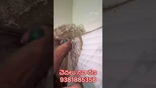 Pestcontrolservice9381885358 Ongole termite control #ongole #darsi #vijayawada #hyderabad #mumbai