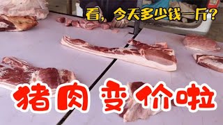 天津的猪肉大变价，看4月6日集市上卖多少钱一斤？大吃一惊~带你们看每天中国菜市场物价【茉茉妈vlog】