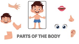 PARTS OF THE BODY// 25 BASIC PARTS OF BODY FOR KIDS