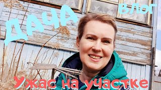 ВЛОГ | Старая дача |  Ужас на участке | В СНТ НА ПМЖ №1